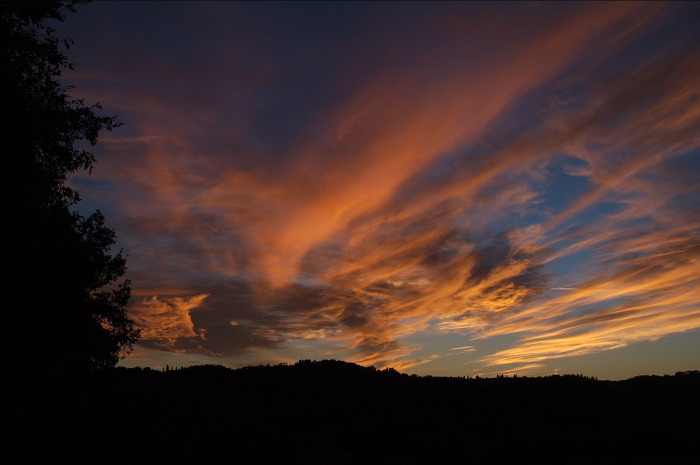 cielo